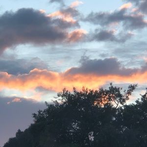 Meet your Posher, Angie